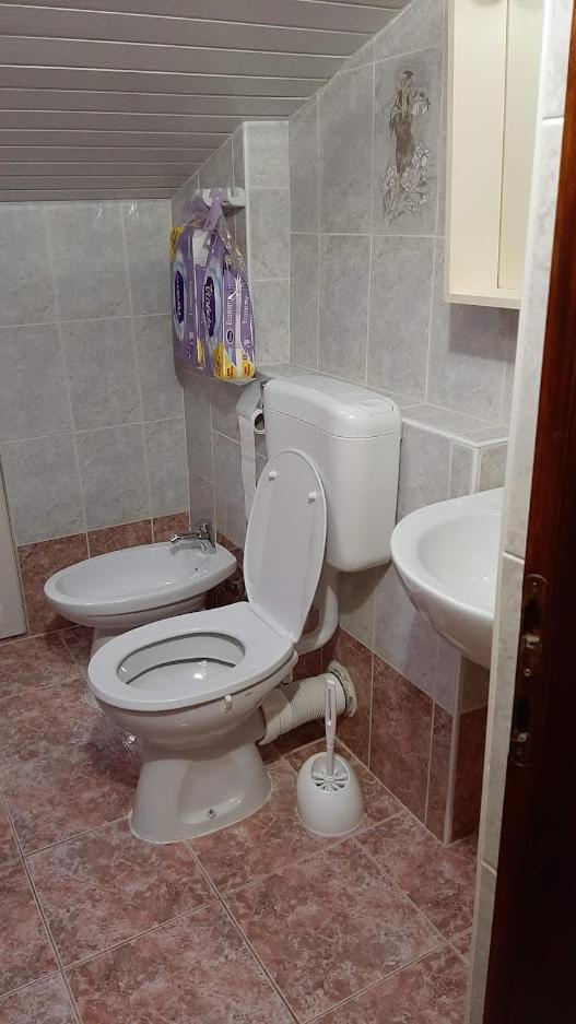 Alex Apartma *